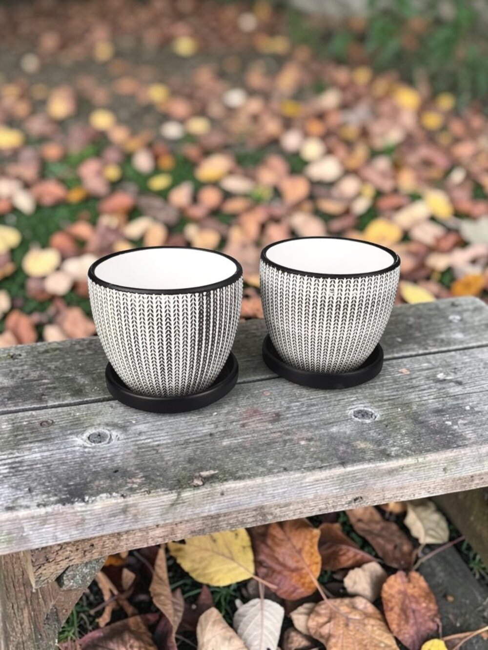Set Of 2 Terra Cotta Planting Pots